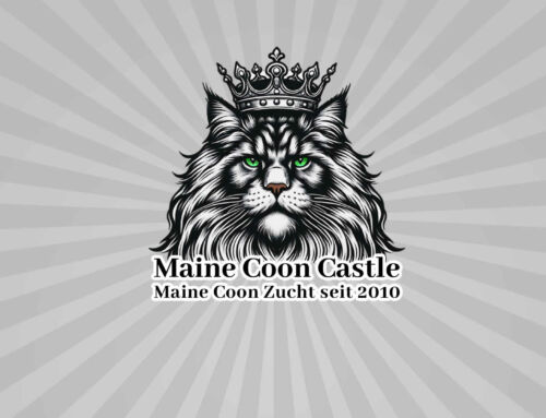 Maine Coon Castle – Eine führende Maine-Coon-Zucht in Deutschland