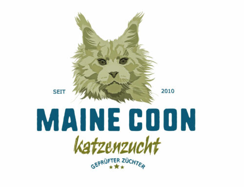Gute Maine Coon Züchter finden
