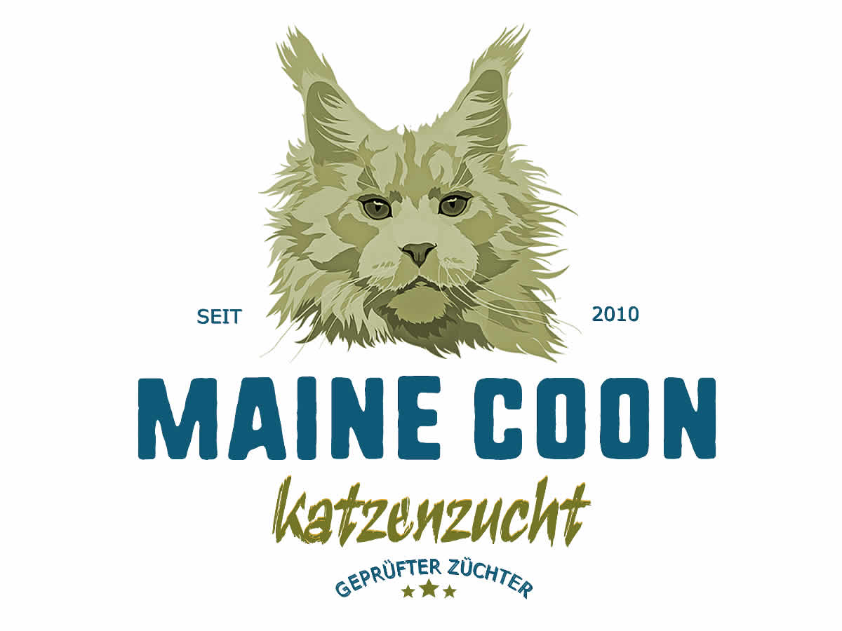 Gute Maine Coon Züchter finden